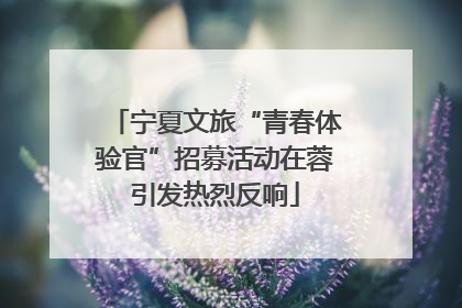 宁夏文旅“青春体验官”招募活动在蓉引发热烈反响